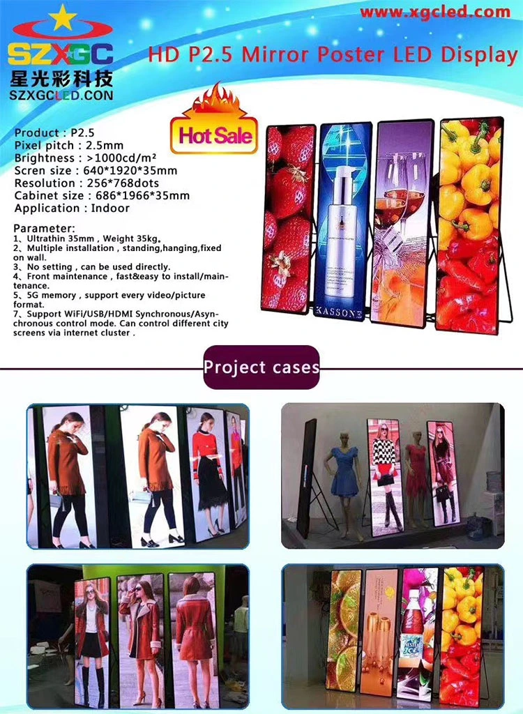 Floor Stand Indoor Poster Digital Signage Mirror LED Display Module